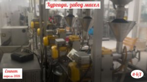 Отдых в Египте | В Хургаду, завод масел | Апрель 2026 | Часть 4/1