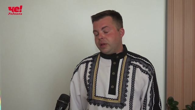 Встреча с ансамблем Родник смотреть онлайн
