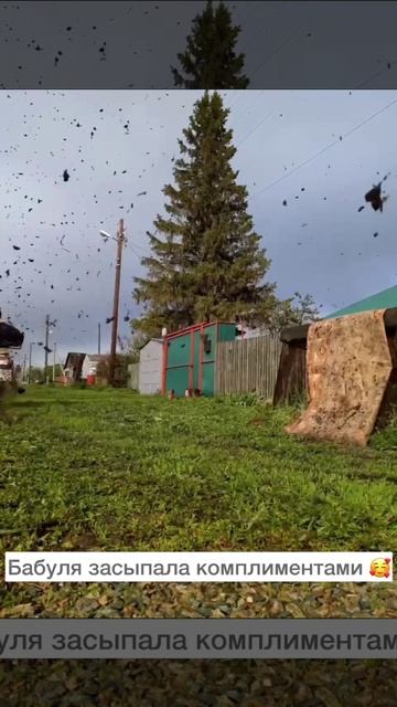 Бабуля и комплименты