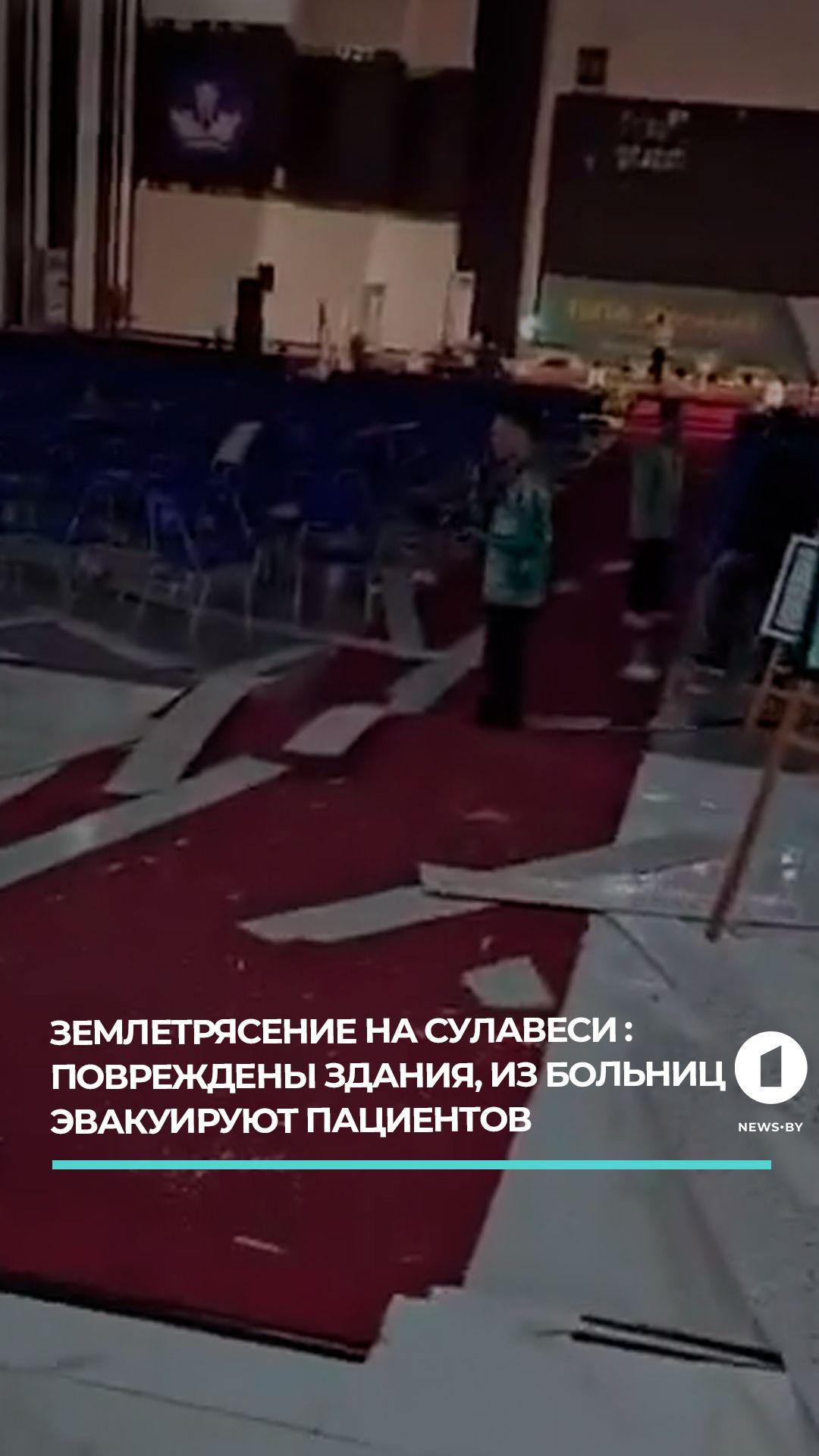 Индонезийский остров Сулавеси сотрясло мощное землетрясение магнитудой 6,7