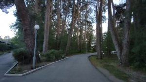 Абхазия Цитрусовый Пансионат Сосновая роща 16 июня 2026 г.