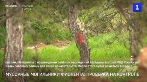 Мусорные могильники Фиолента: проверка на контроле