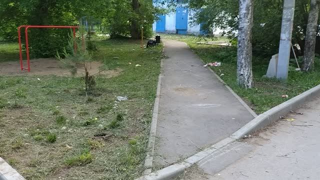 VID_20260531_174802544