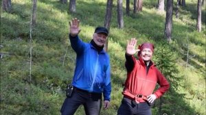 Падал летний снег