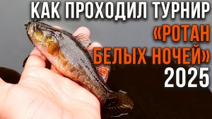 Как проходил турнир «Ротан Белых Ночей» 2025