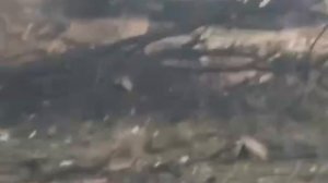 Видео с территории киностудии в Киеве.