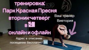 Аштанга йога в парке «Красная Пресня» | Лето в Москве 2026