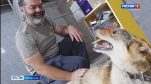 В Костроме произошло сразу два счастливых случая спасения животных после тяжелейших травм