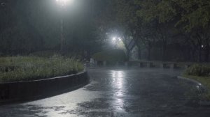 Дождь в парке. Белый шум 🌧️ Видео для сна 2 часа