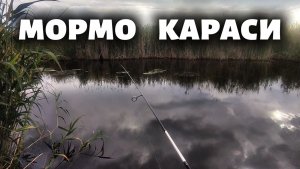 Карась на мормышку