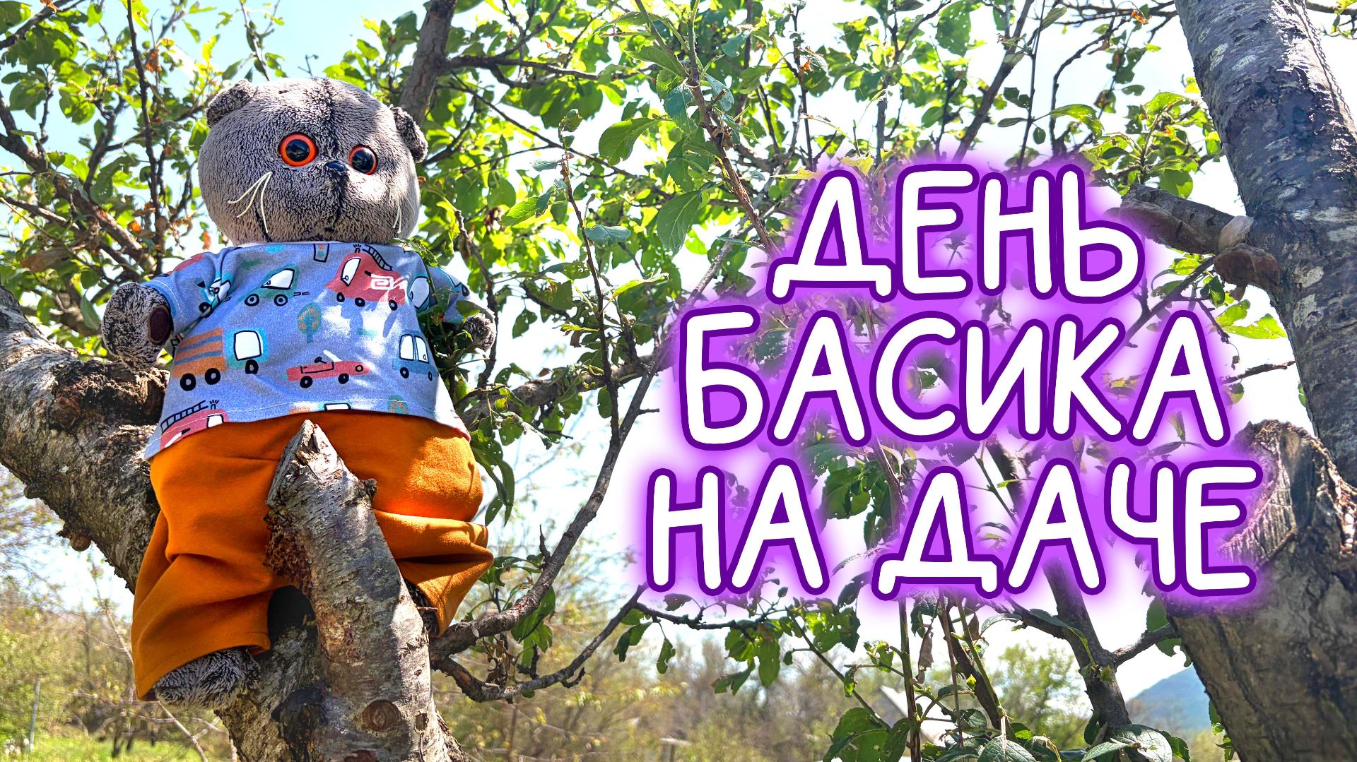 🌷🌸🌷ДЕНЬ БАСИКА НА ДАЧЕ / ВЛОГ С БАСИКОМ #басики #волшебныебудни #пробасиков смотреть онлайн