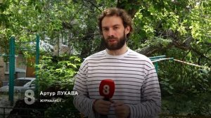 ДЕРЕВО РУХНУЛО НА СПОРТПЛОЩАДКУ ВО ДВОРЕ НА СВОБОДНОМ