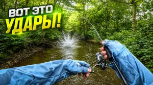 ОТ ТАКИХ ПОКЛЁВОК ЗАМИРАЕТ СЕРДЦЕ 😳 ГОЛАВЛЬ НИКОГДА не ДАЕТ ЗАСКУЧАТЬ 😎 СПИННИНГ на МАЛЫХ РЕКАХ