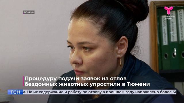 Процедуру подачи заявок на отлов бездомных животных упростили в Тюмени смотреть онлайн