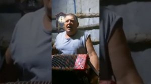 Бедная девица народный гармонист  Александр Горлов