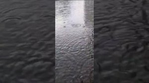 дождик в городе