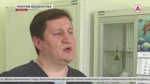 Как не заразиться бешенством