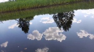 2026.06.12-14 Лух от Луха до Мыта 45км