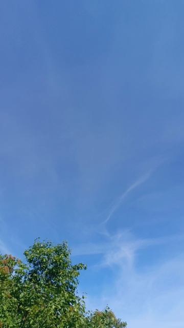 небо видит смотреть онлайн