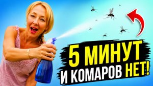 Комары исчезнут за 5 минут — простой способ без химии