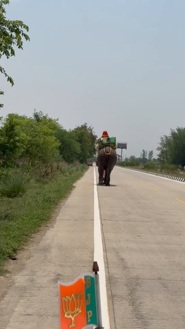 В какой еще стране так увидишь? смотреть онлайн