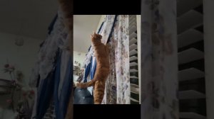 Я видел любовь, любовь, любовь в твоих глазах