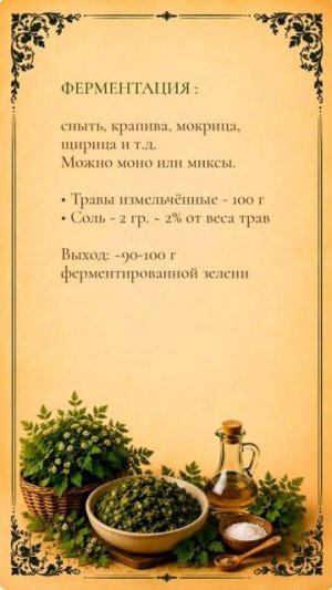 Солим дикоросы для здоровья кишечника #кишечник #здоровье #польза