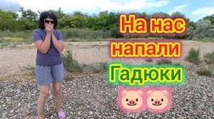 На нас напали ГАДЮКИ/НЕ хочу отвечать на ЭТОТ ВОПРОС/Встреча с ПОДПИСЧИЦЕЙ/Дешёвая ЧЕРЕШНЯ в ПЛОДОВО
