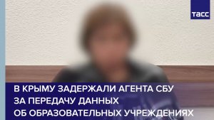 В Крыму задержали агента СБУ за передачу данных об образовательных учреждениях
