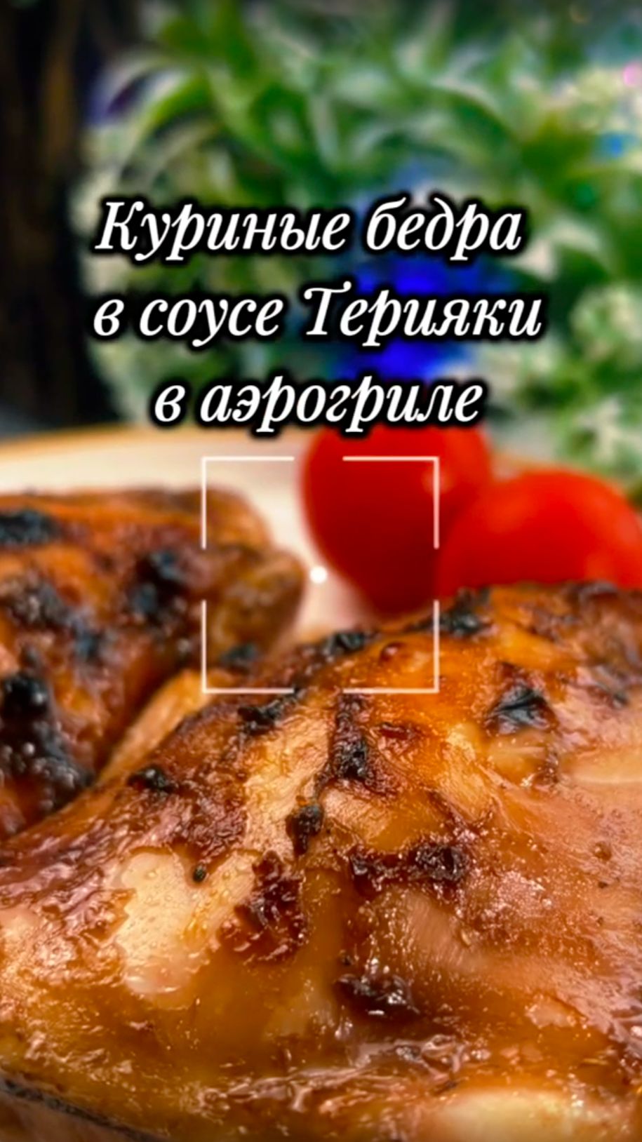 Сочные куриные бёдра в соусе «Терияки» в аэрогриле. Простой рецепт на 1-2 порции.