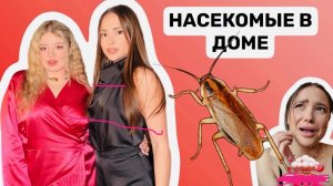 ЖУКИ В КУХОННОМ ШКАФУ | Разбор полок | ДР подруги