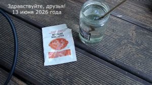 13 июня 2026 года повышение урожайности клубники, томатов, опрыскивание, подкормка