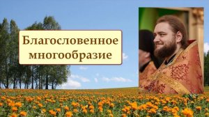 БЛАГОСЛОВЕННОЕ МНОГООБРАЗИЕ. Отец Савва (Мажуко)