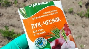 2516. Рассадный 26. А что же делать с чесноком ?