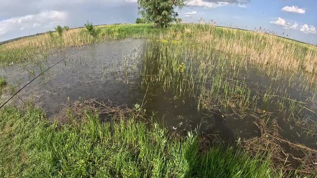 Рыбалка на поплавочку. Дон. Вертячий. Караси.