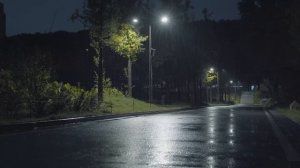 Cон под уютные звуки дождя 🌧️Видео для глубокого сна ASMR