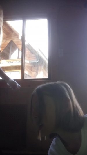 Делаем райский домик из сарайки