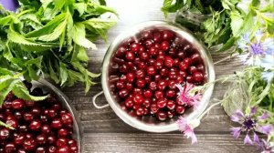 Мой любимый вишнёвый компот!🍒🍒🍒