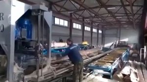 Горизонтальный 2-пильный дисковый станок Tiger GS600. Продольная распиловка кругляка на пиломатериал