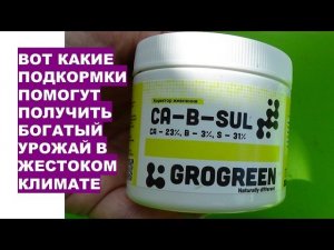 Новые эффективные удобрения для подкормок растений сада и огорода в сложных климатических условиях