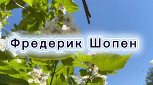 Фредерик Шопен, ноктюрн №10, классическая музыка
