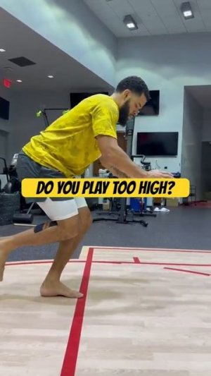 SL vertical + horizontal squat in plank Вертик-горизонт присед на 1 ноге