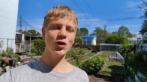 стих «солнце зимою». unni 6