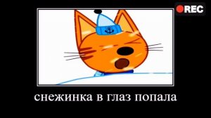 ТРИ КОТА 😹😻😾   ПОЛНАЯ РЖАКА 🤣 😄попробуй не засмеяться