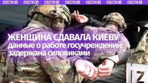 Женщина собирала для Киева данные о госучреждениях в ЛНР и Крыму: задержана силовиками