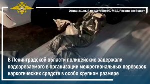 В Ленинградской области задержан подозреваемый в организации межрегиональных перевозок наркотиков