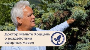 Доктор Мальте Хоццель о воздействии и применении эфирных масел | Ошади