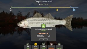 ЮБИЛЕЙНЫЕ ЭКСТРА ЗАДАНИЯ 2026!!! 5 ЭТАП - РУССКАЯ РЫБАЛКА 4