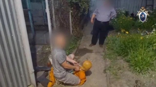 Житель Ставрополья задушил «соседку-живодёрку» из-за убийства котёнка. смотреть онлайн