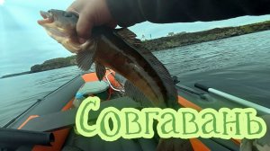 Морская рыбалка в Совгаванском р-не. Грустный троллинг